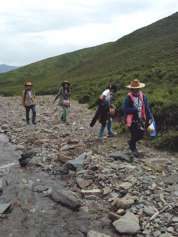 7��22�գ��m�ݴ�W(xu��)�Gɫ�I�F(tu��n)�(du��)�������c(di��n)����?q��)����{(di��o)�С��(du��)�T������(d��ng)?sh��)ص��������f�ֲ����݈���r������ι�B(y��ng)���h(hu��n)��׃���ȷ����M(j��n)���˴��µ��˽����D���(du��)�T���ڮ�(d��ng)?sh��)��M(j��n)��ֲ����R(sh��)������