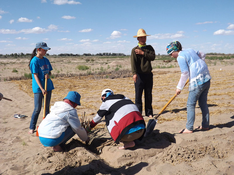 �@�N1.5��Ҋ�������ݸ�������ɳЧ����������^4��5���͕�(hu��)�L(f��ng)�g��������Ҫ�����a(b��)����