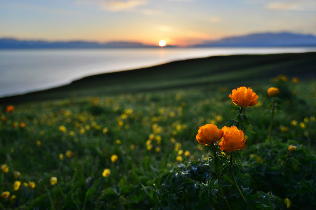 ��������l(xi��ng)�ĸ����