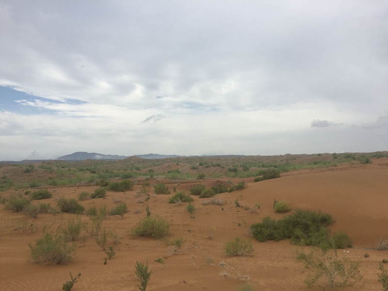 �v����ɳĮ�޾W(w��ng)������ݷ����ﲼ�M�[�d��ɳ��ֲ����