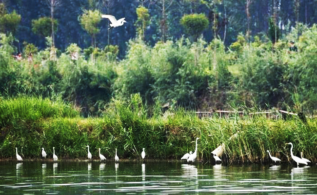 ͯԒ�ϼң���������Ԋ�����Ϙ���f����