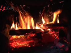 �t��t����~����������ʳ���ρ�