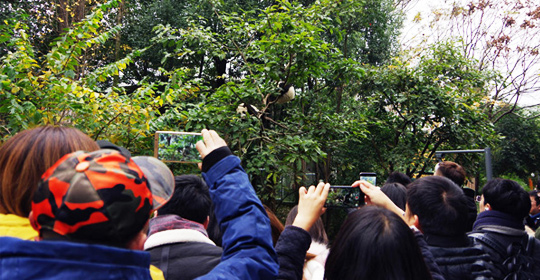 �@�����ӵ������ɶ����W(w��ng)�j(lu��)���ˁ��cٝ