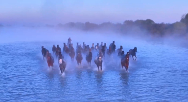 晨霧下的昭蘇濕地美成了詩(shī)畫(huà)